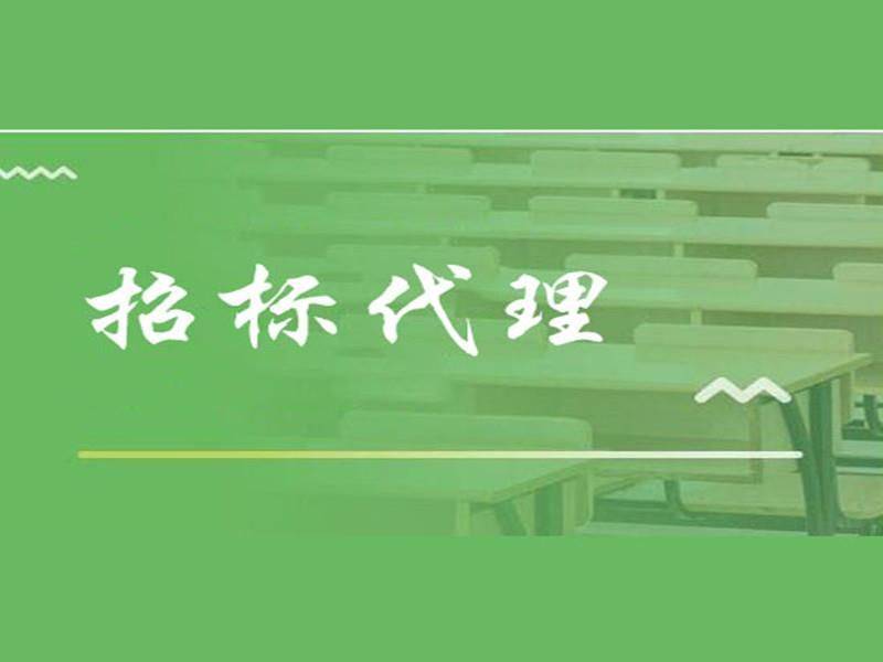 成功代理投标的关键步骤与技巧