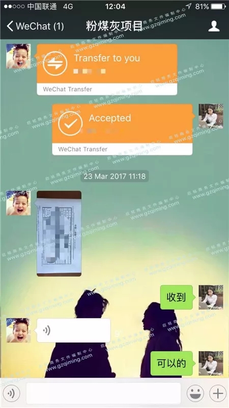 煤灰项目标书案例