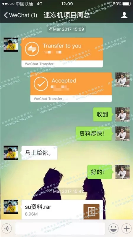 速冻机项目标书案例